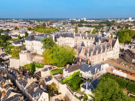 Visitez Blois !