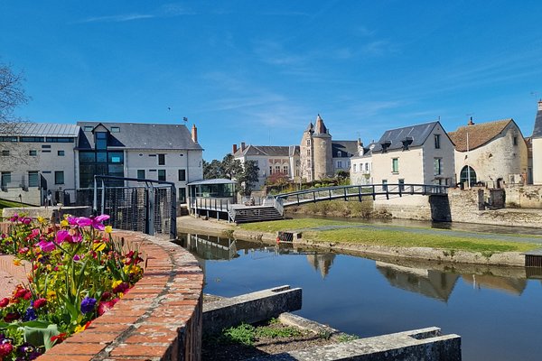 Sologne, terre de nature, forêts et traditions profondes.	