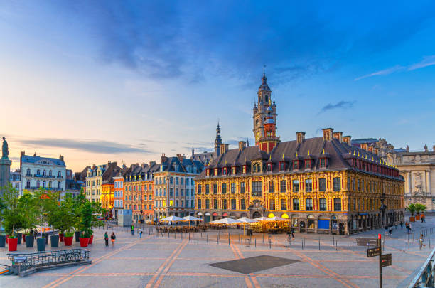 Visitez Lille et découvrez son charme unique grâce à notre taxi.